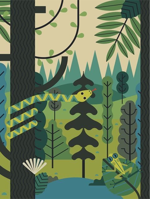 Artwork Title: Forest Snake Frog Trees
