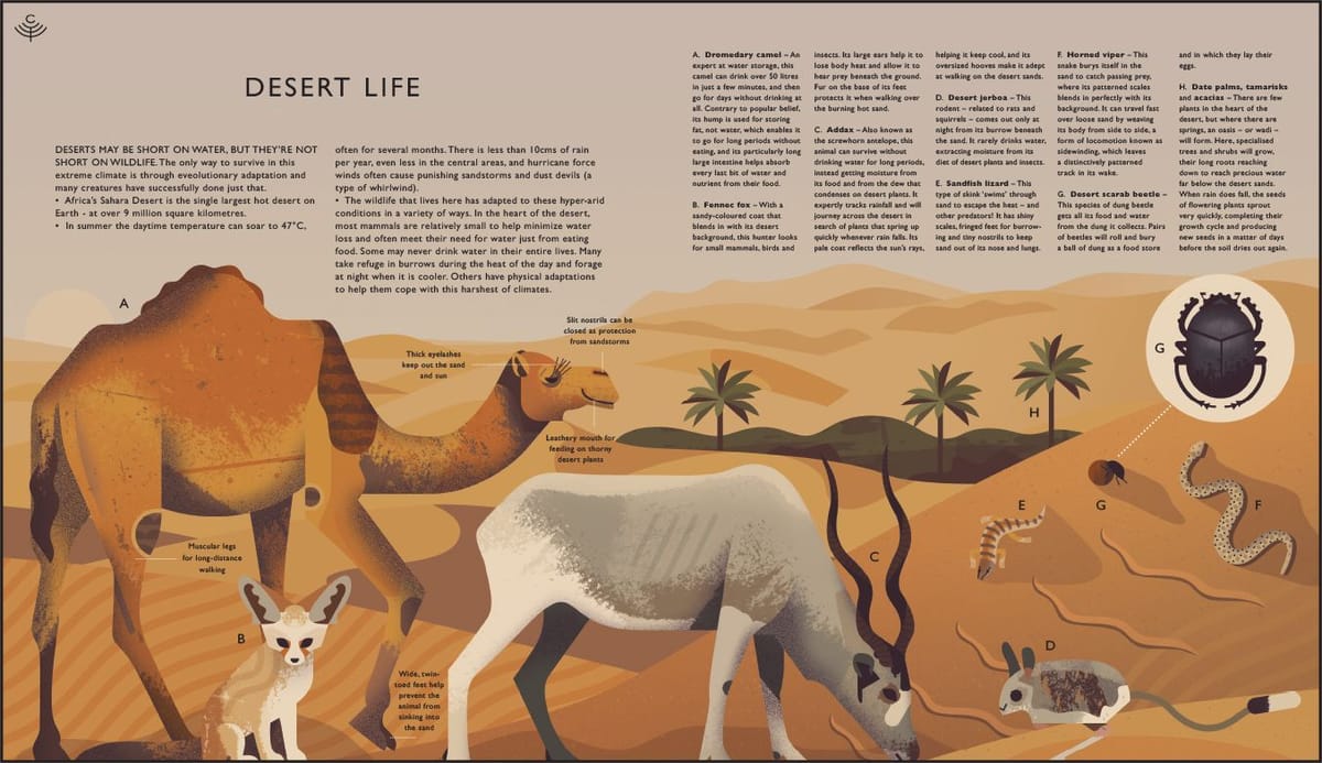 Artwork Title: Curiositree: Desert Life