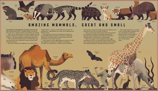 Artwork Title: Curiositree: Amazing Mammals, Great and Small
