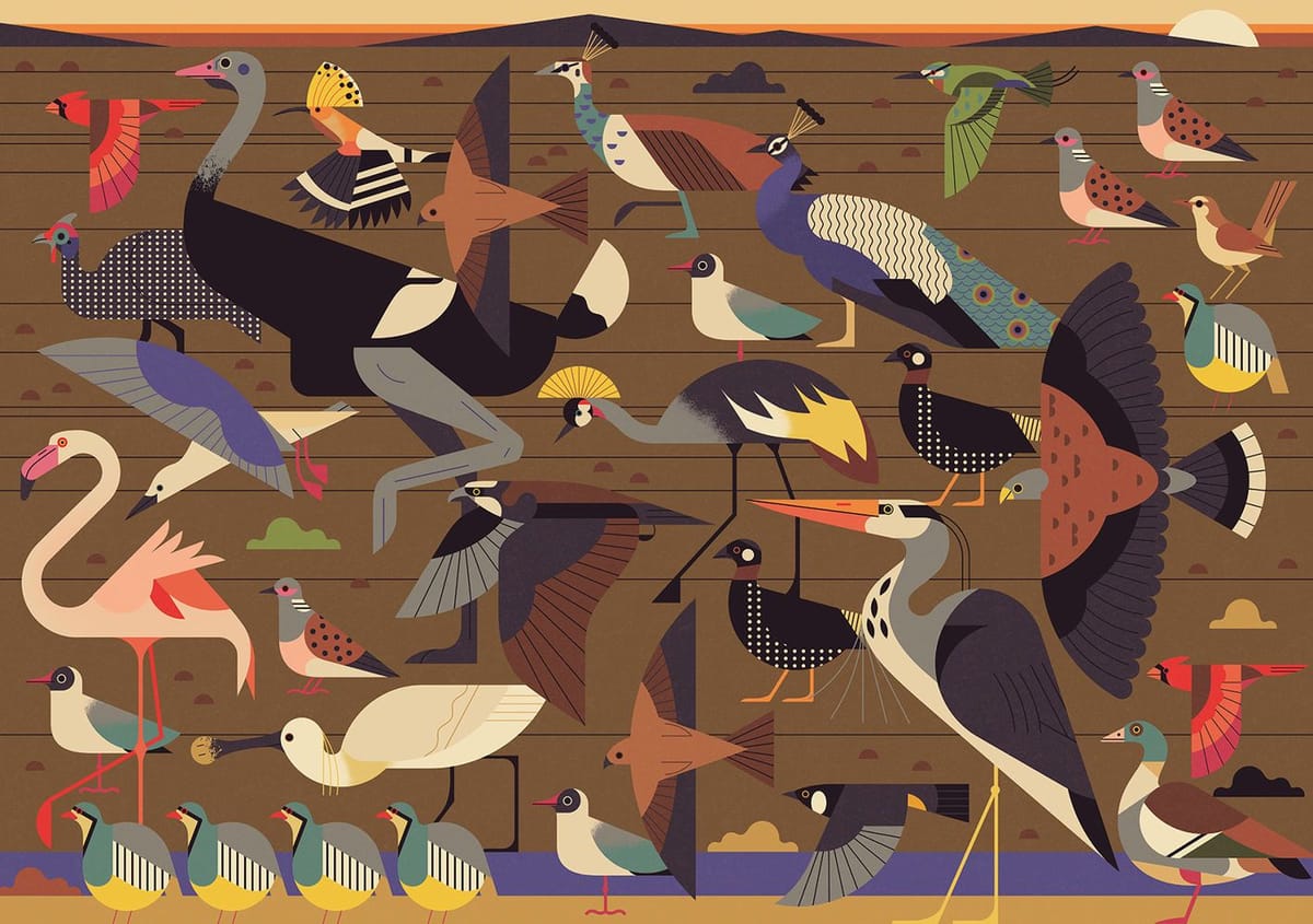 Artwork Title: Sir Bani Yas / Zayed's Island Nature: Birds