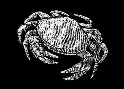 Artwork Title: Crab