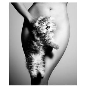 Artwork Title: Untitled