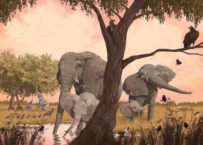 Artwork Title: Our Elephant Neighbors