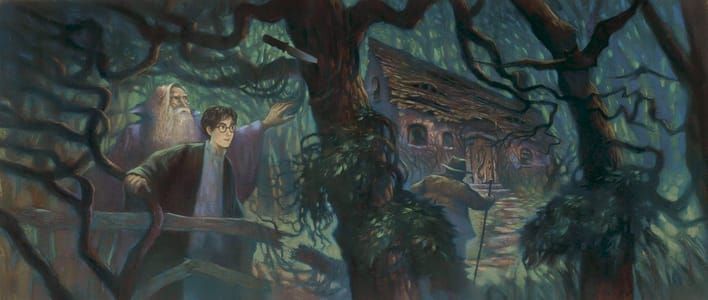 Artwork Title: The Half-Blood Prince Deluxe Jacket