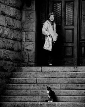 Artwork Title: The Old Woman and the Cat