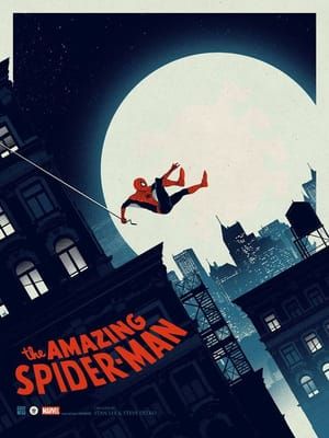 Artwork Title: The Amazing Spider-Man