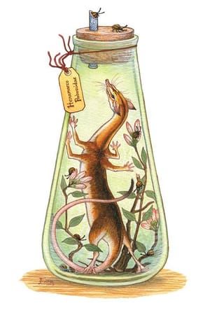 Artwork Title: Bottled Shrew