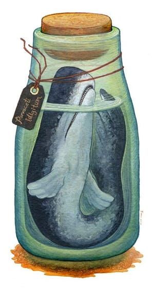 Artwork Title: Parvaceti idigitum