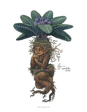 Artwork Title: Mandrake Childe