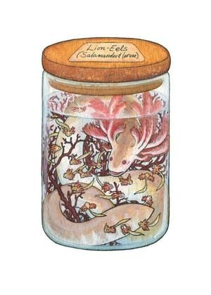 Artwork Title: Lion Eels