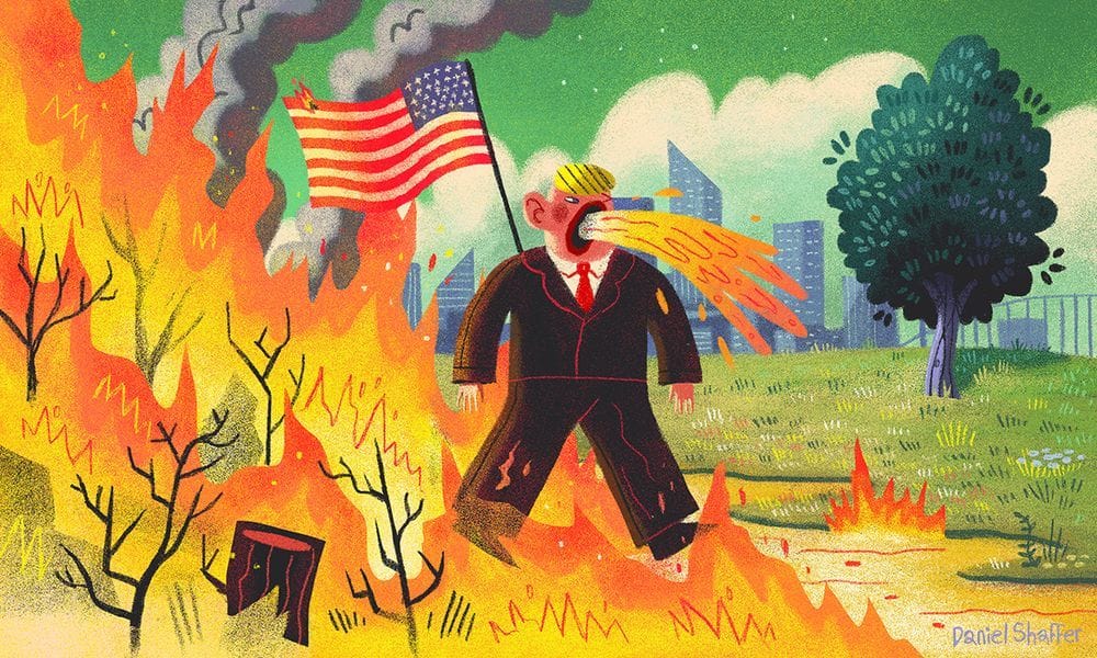 Artwork Title: Trump Fire