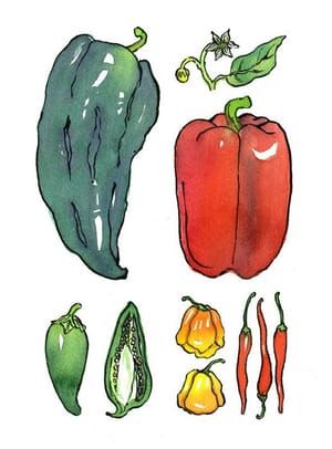 Artwork Title: Peppers