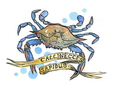 Artwork Title: Blue Crab