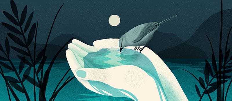 Artwork Title: September - October