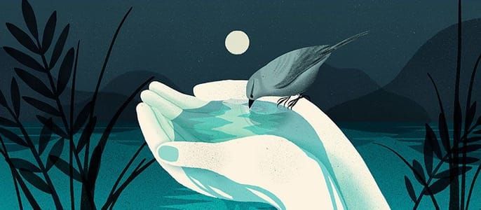 Artwork Title: September - October