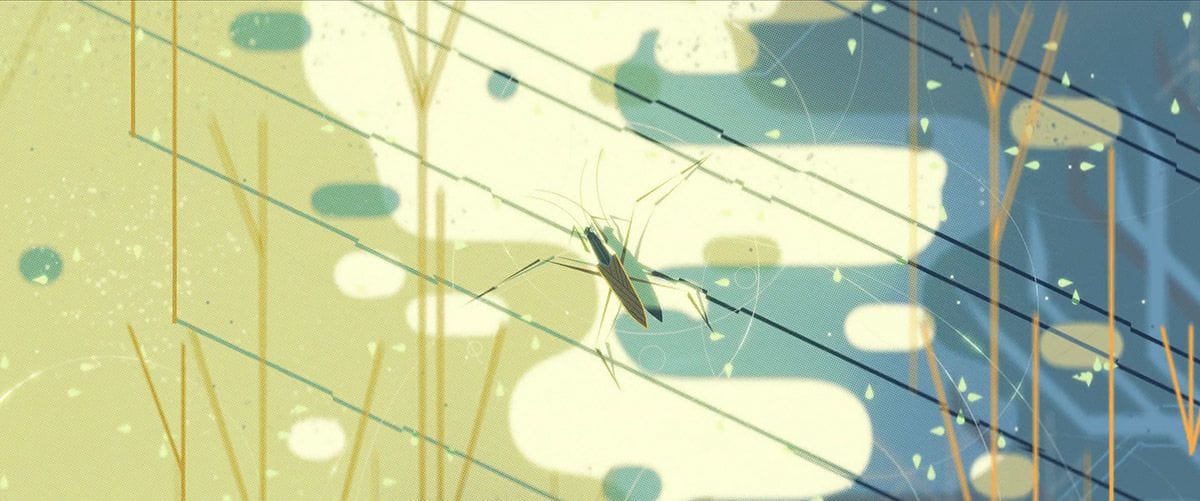 Artwork Title: undefined