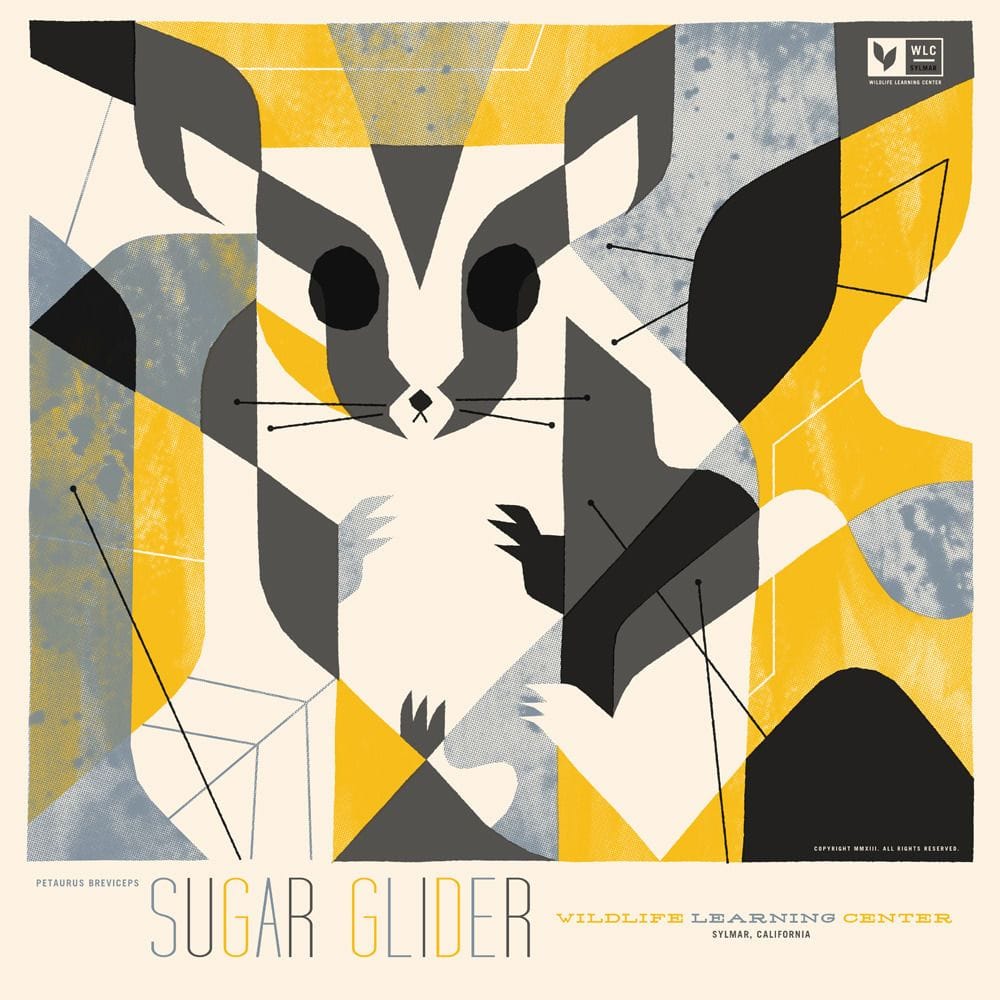 Artwork Title: Sugar Glider