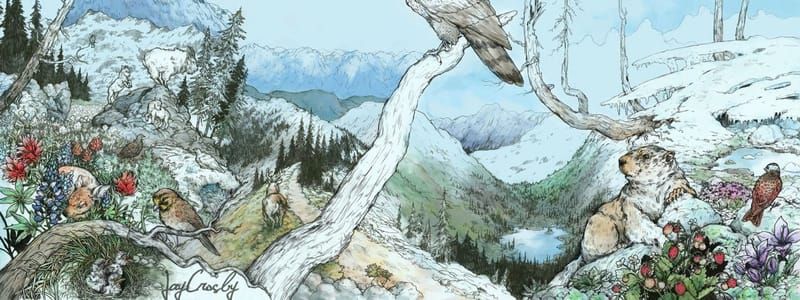 Artwork Title: Cascadia: Life in the Upper Left: Alpine
