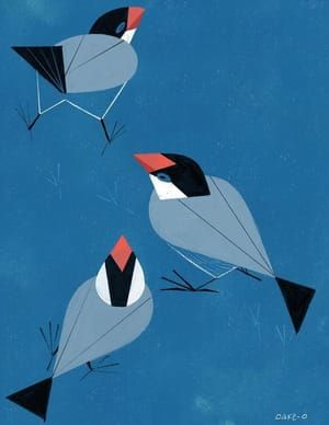 Artwork Title: Java Sparrows