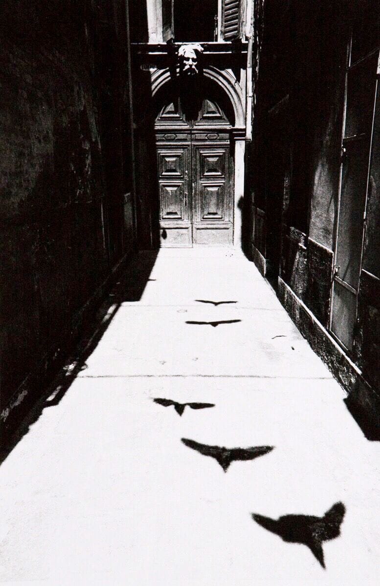 Artwork Title: Bird's Shadow in Venice, from 'Where time has stopped”