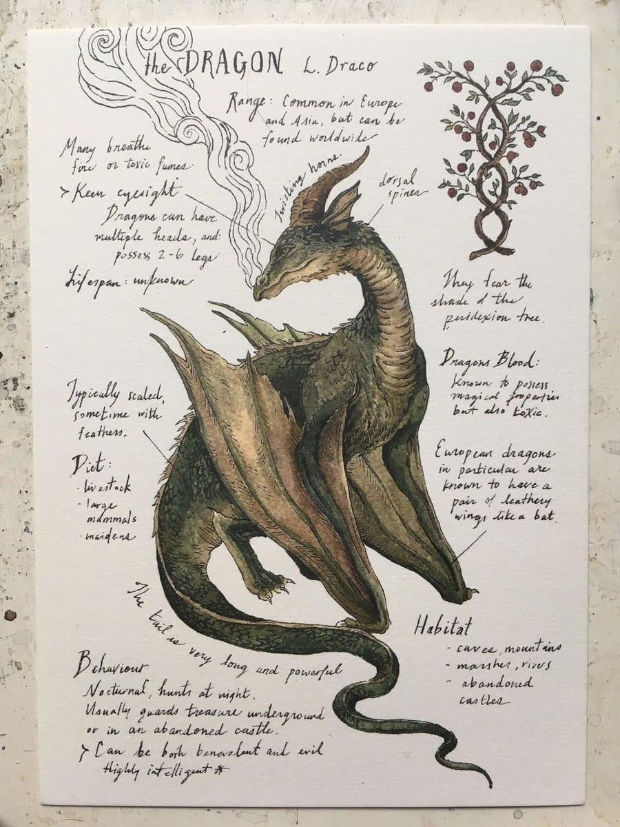 Artwork Title: Dragon Study