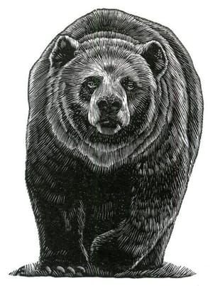 Artwork Title: Serious Bear