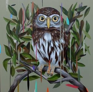 Artwork Title: Pygmy Owl