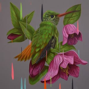 Artwork Title: Buff Bellied Hummingbird and Hellebore