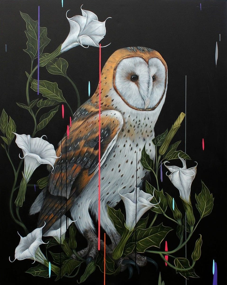 Artwork Title: Barn Owl and Daturas