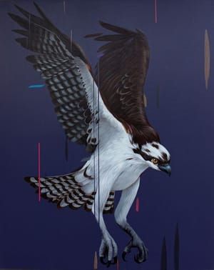 Artwork Title: Osprey