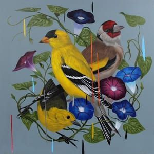 Artwork Title: Three Finches and Morning Glories