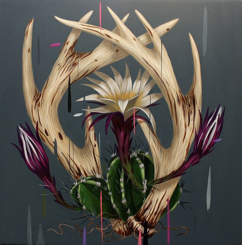 Artwork Title: Echinopsis and Antlers