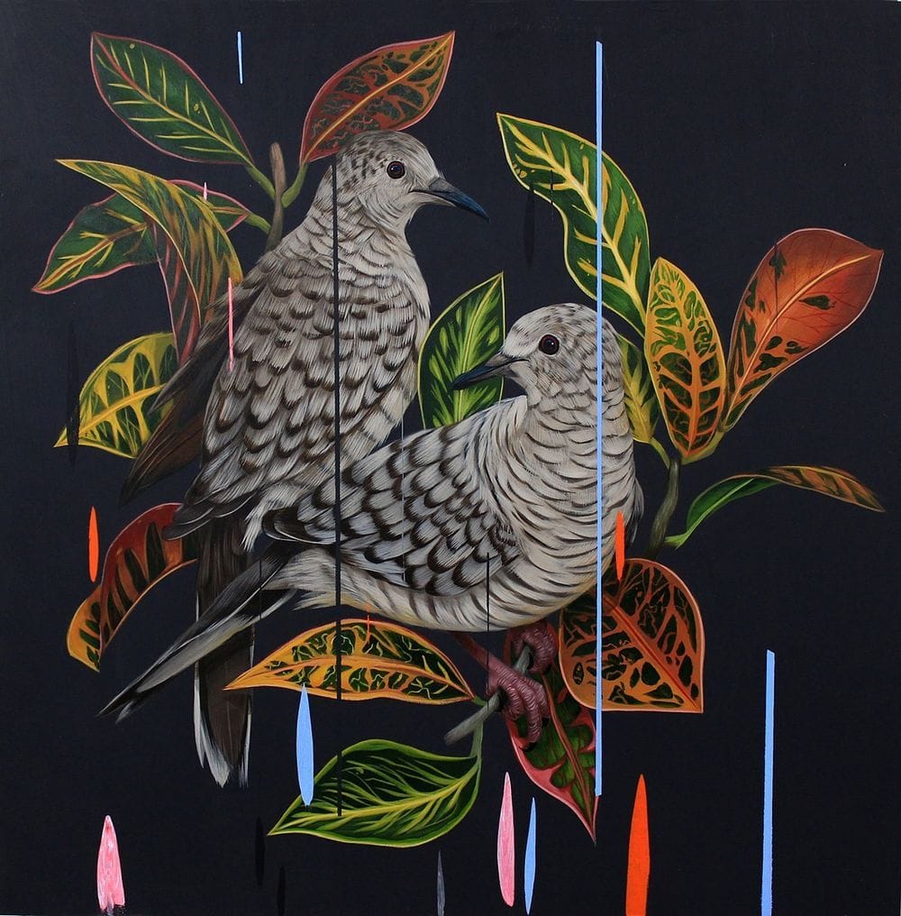 Artwork Title: Inca Doves and Croton Petra