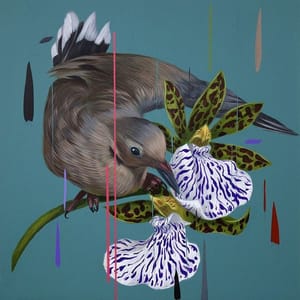 Artwork Title: Mourning Dove and Odm Orchids