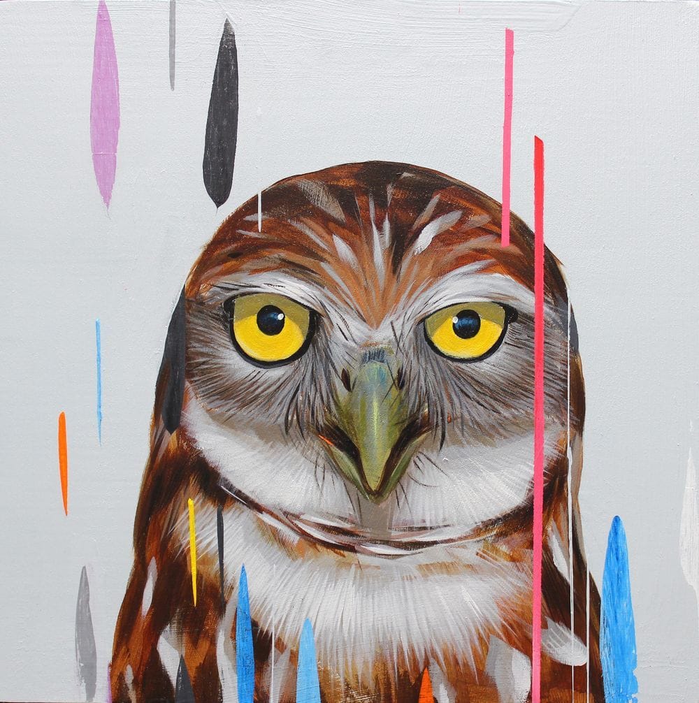 Artwork Title: Burrowing Owl