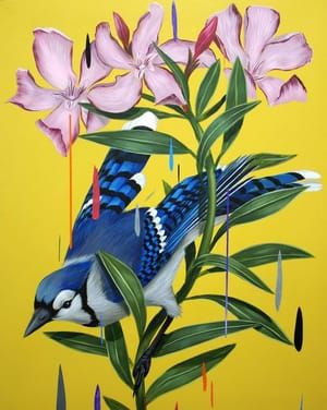 Artwork Title: Blue Jay and Oleanders