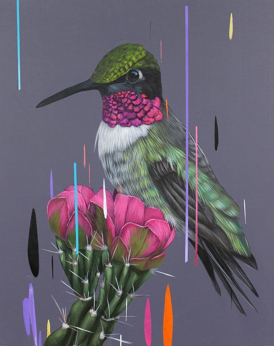 Artwork Title: Anna's Hummingbird and Cholla Blooms