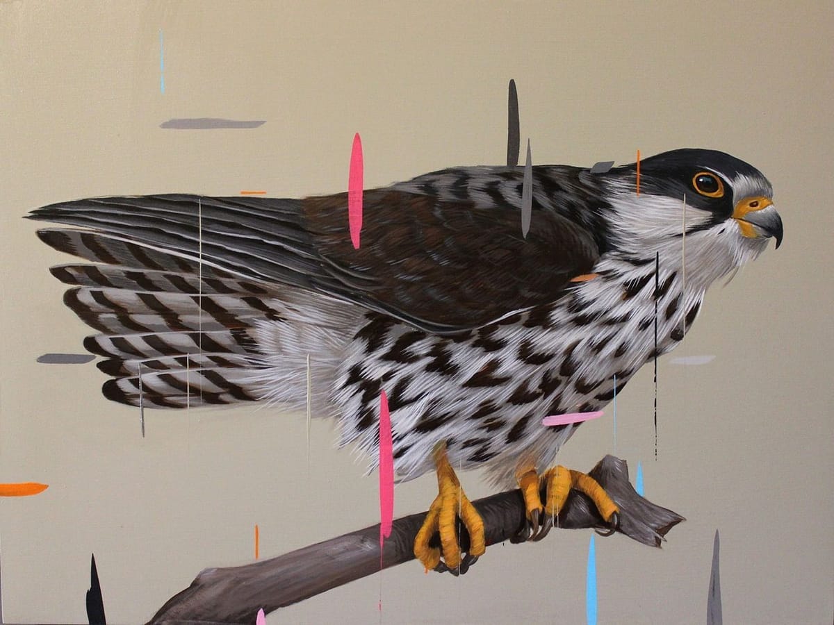 Artwork Title: Amur Falcon