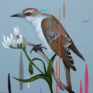 Artwork Title: Black Billed Cuckoo