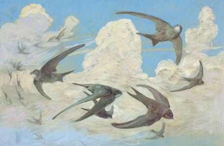 Artwork Title: Swift, Bird Table no. 35