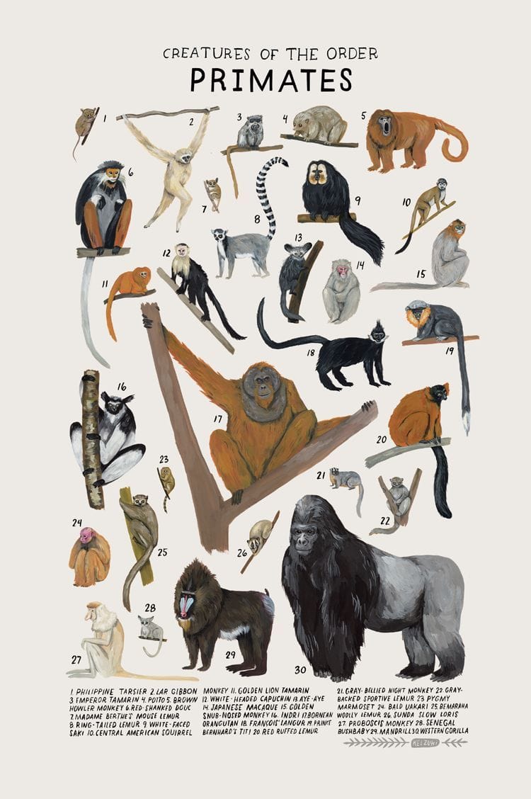 Artwork Title: Creatures of the Order Primates