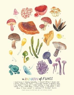 Artwork Title: A Rainbow of Fungi