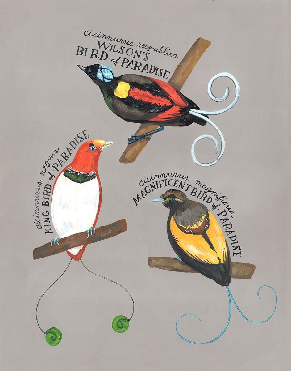 Artwork Title: Birds of Paradise