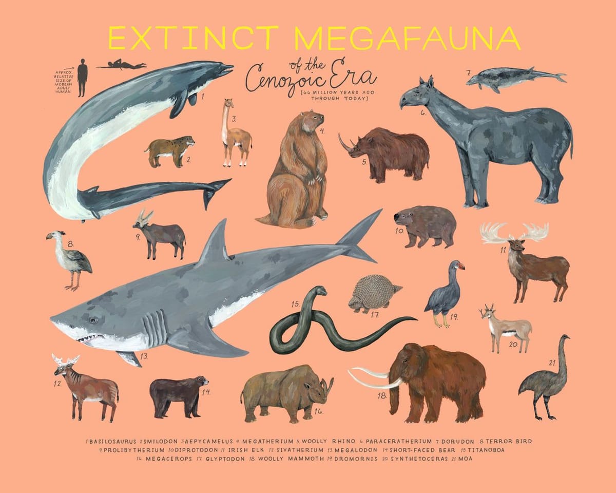 Artwork Title: Extinct Megafauna of the Cenozoic Era