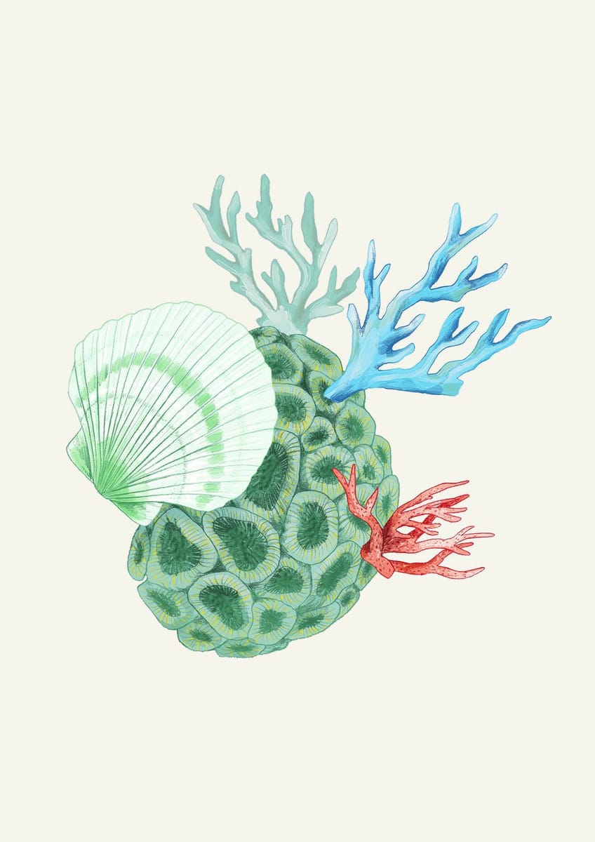 Artwork Title: Coral Element Illustration
