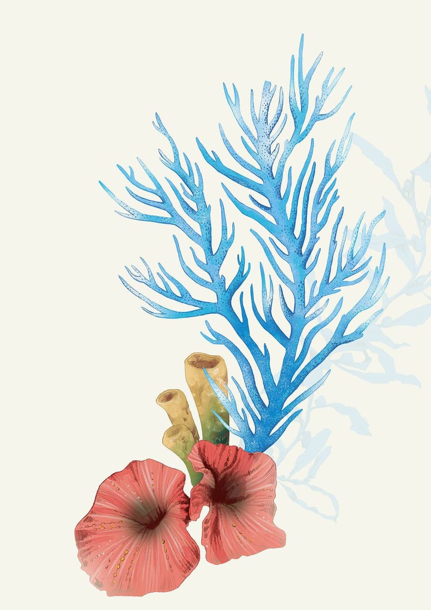Artwork Title: Coral Element Illustration