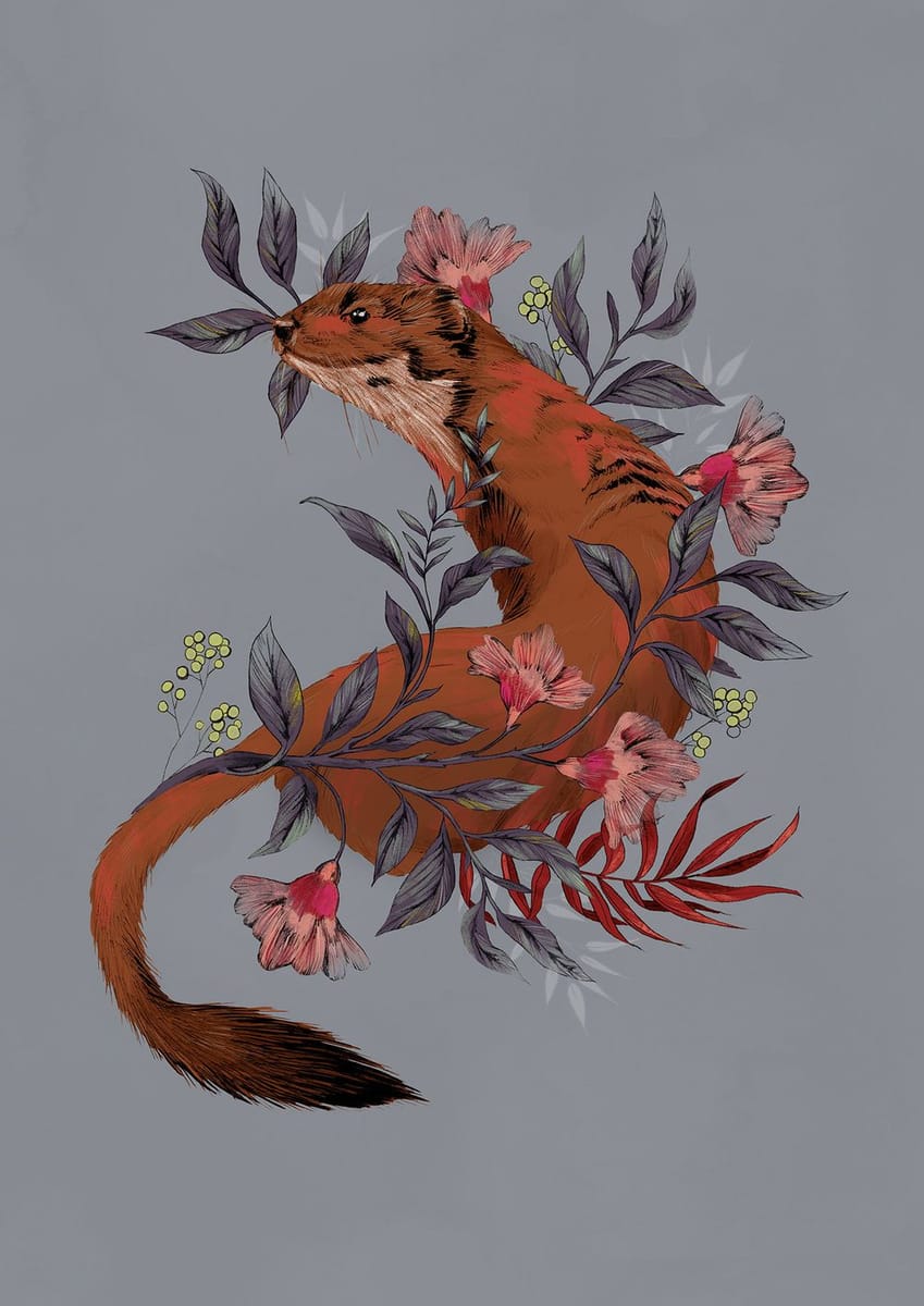 Artwork Title: Stoat In Foliage