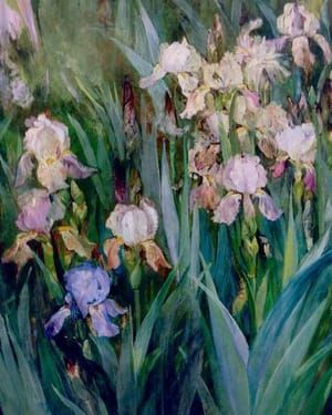 Artwork Title: Iris at Dawn