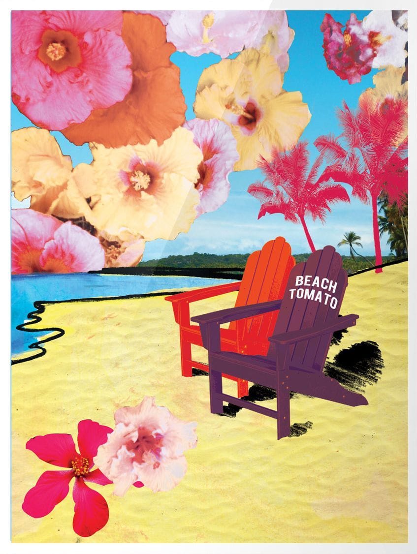 Artwork Title: Beach Tomato