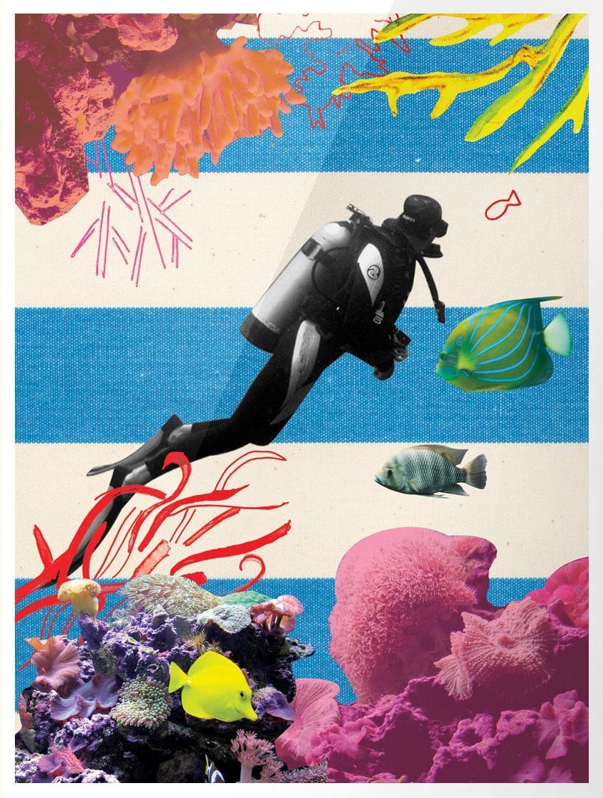 Artwork Title: Beach Tomato